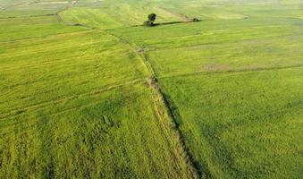 fotografias aéreas tiradas por drones mostram a vegetação das terras agrícolas. foto