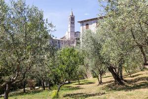 oliveiras na vila de assis, na região de umbria, itália. a cidade é famosa pela mais importante basílica italiana dedicada a st. francis - san francesco. foto