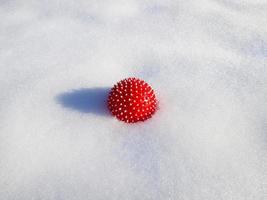 bola pontiaguda vermelha na forma de um vírus corona está meio enterrada na neve. bola para cachorro ou auto massagem. foto