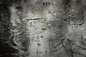 poça na primavera. círculos na água. a superfície da água após a chuva. foto