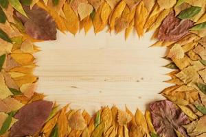 quadro de folhas de outono secas coloridas no fundo de madeira, vista superior. foto