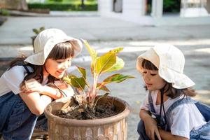 irmãos menina asiática está plantando árvore de flores da primavera em vasos no jardim fora de casa, educação infantil da natureza. cuidando de uma nova vida. conceito de feriado do dia da terra. dia Mundial do Meio Ambiente. ecologia. foto