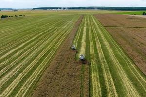 vista aérea sobre colheitadeiras pesadas modernas removem o pão de trigo maduro no campo. trabalho agrícola sazonal foto