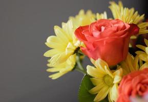 close-up de flores vermelhas e amarelas foto