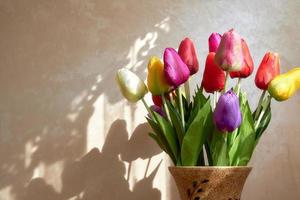 tulipas de cores diferentes em um grande vaso, no contexto de uma parede iluminada pelo sol. foto