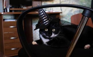 um gato preto com um chapéu de bruxa para o halloween. deitado em uma cadeira de computador foto