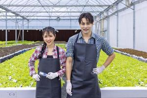 agricultores locais asiáticos cultivando sua alface de salada de carvalho verde na estufa usando a abordagem orgânica do sistema de água hidropônica para empresas familiares foto