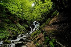 floresta mágica com cachoeira foto