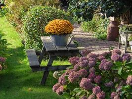 Giethoorn na Holanda foto