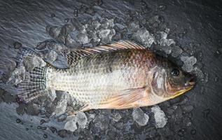 tilápia com gelo em fundo escuro, peixe tilápia cru fresco da fazenda de tilápia foto