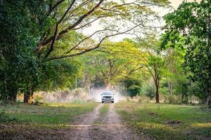 carro na estrada da floresta foto