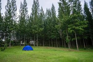 tenda azul na floresta foto