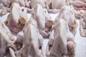 a carne de frango inteira está pronta para ser processada em vários pratos foto