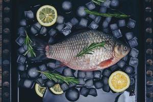 cozinhar peixe, peixe cru em uma assadeira com cubos de gelo, rodelas de limão e raminhos de alecrim.