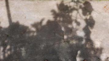fundo de textura de cimento com sombras de folhas foto