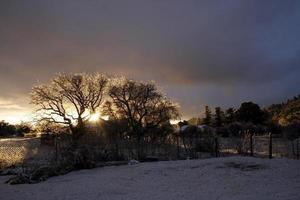 luz do sol através das árvores da manhã foto