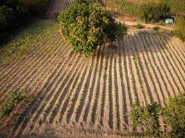 foto aérea de terras agrícolas rurais tirada por drone, a maioria das pessoas rurais tem uma carreira agrícola.