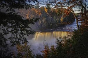 cachoeira cercada por árvores foto