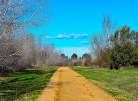 fotografia de paisagem de caminho foto