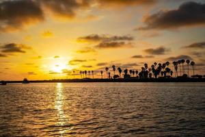 pôr do sol no oceano pacífico com silhueta de palmeira foto