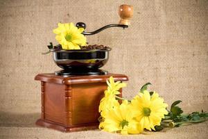 arranjo romântico com café expresso e flores da primavera, junto com moedor de café antigo foto