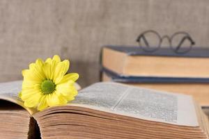 crisântemos amarelos, um livro antigo e óculos em cima da mesa. foto