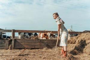 uma linda mulher em uma fazenda alimenta o gado com feno foto