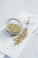 grãos de trigo sarraceno foto