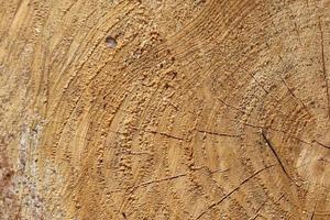 close-up vista em diferentes superfícies de madeira de toras de pranchas e paredes de madeira em alta resolução foto