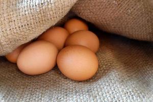 ovos, ovos de galinha / galinha em saco. foto