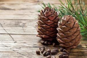 cones de cedro e nozes em fundo de madeira. foco seletivo.copie o espaço foto