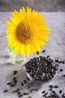 girassol em um copo e sementes em uma tigela sobre uma mesa cinza. nutrição natural e colheita. vertical foto