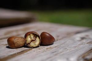 castanhas frescas isoladas em um piso de madeira, as castanhas têm um sabor doce oleoso. foto