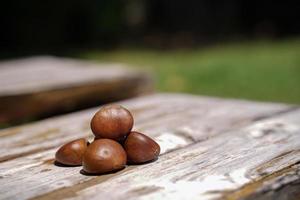 castanhas frescas isoladas em um piso de madeira, as castanhas têm um sabor doce oleoso. foto