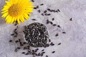 sementes de girassol e uma flor em um copo sobre uma mesa cinza. colheita e nutrição natural. vista do topo foto