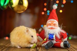 hamster fofo fofo e papai noel na atmosfera festiva de bokeh brilhante de fundo de madeira foto