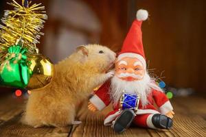 hamster fofo fofo e papai noel na atmosfera festiva de bokeh brilhante de fundo de madeira foto