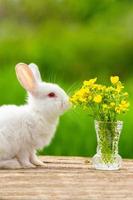 engraçado coelhinho orelhudo branco em um fundo de madeira com um buquê de flores em um dia ensolarado na natureza foto