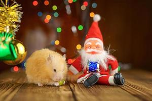 hamster fofo fofo e papai noel na atmosfera festiva de bokeh brilhante de fundo de madeira foto