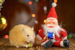 hamster fofo fofo e papai noel na atmosfera festiva de bokeh brilhante de fundo de madeira foto