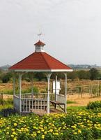 gazebo de madeira no jardim foto