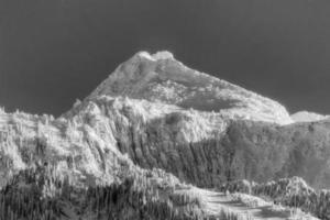 pico solitário coberto de neve bw foto