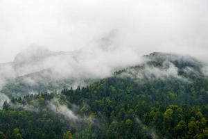 montanha-floresta em cloudscape-pyrenees frança
