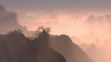 picos de montanhas arborizadas com névoa ao amanhecer