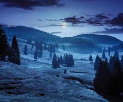 nevoeiro na floresta nas montanhas à noite foto