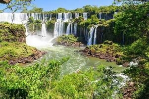cachoeira iguazu, argentina
