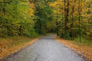 estrada rural no outono foto