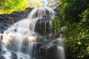 bela cachoeira kondalilla. foto