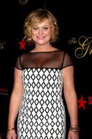 los angeles - 21 de maio - amy poehler chega à 38ª gala anual do gracie awards no beverly hilton hotel em 21 de maio de 2013 em beverly hills, ca foto