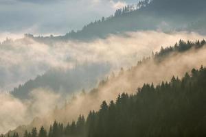 Montanhas carpathian. nevoeiro nas encostas das montanhas cobertas pela floresta. foto